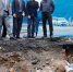i9pf8kwtp9akolv84emt5dzjvvw8z7kb.jpg - Primorye24.Ru