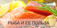 Можно даже детям до года: ученая Пермского Политеха назвала топ-7 самых полезных видов рыб для нашего здоровья - Газета Новости Кунгурского края