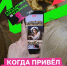 Фото интернет-портала «Национальные проекты России» - Газета Курганинские известия