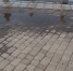 image - GazetaRB.Ru