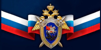 Следственный комитет России напоминает несовершеннолетним о правилах безопасного поведения в сети Интернет - Газета Приозерские ведомости