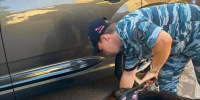 Мужчина повредил капот автомобиля после замечания незнакомца - Сетевое издание Официальный Новороссийск
