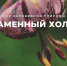Живой страж Тёпло-Огарёвского района: вековой лес защищает исток Ситовой Мечи - Молодой коммунар