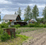Сорняки ничем не обливаю — исчезают за секунды: жаль, что раньше не знала о «топовых» помощниках - Pro Город Ухта
