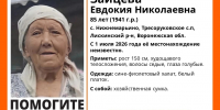 Никто не видел, как она ушла: 85-летняя бабушка исчезла по дороге с рынка в Воронежской области - Bloknot-Voronezh.Ru
