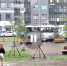 потоп - Петрозаводск говорит