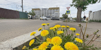По Бурятии кратковременные дожди - ИА Байкал-Daily