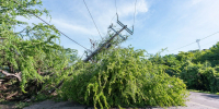 Фото: Carlos O. Flores/Shutterstock/Fotodom - Ямал-Медиа