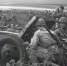 5 июля 1943 года – начало Курской битвы - ЮЗГУ