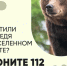 Напоминаем о правилах поведения при встрече с медведем. - Северо-Енисейский муниципальный округ