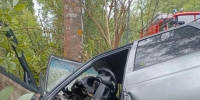 В Гусь-Хрустальном округе машина врезалась в дерево, погиб человек - Владимирские Ведомости