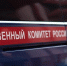 Шестимесячная девочка умерла в машине, пока родители отдыхали у реки в Кузбассе - Gorsite.Ru