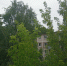 В Подмосковье похолодает: ночи до +9 °C, дни до +24 °C - Smitanka.Ru