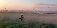 Пожароопасность высшего класса объявили в двух районах Ростовской области - Панорама