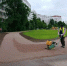 В Петербурге восстанавливают набивные пешеходные дорожки - Spbdnevnik.ru