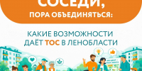Жителей Кобралово приглашают на собрание по созданию ТОС «Возрождение» - Гатчинская служба новостей