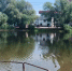 Мужчина утонул на озере Больничном в Нижнем Новгороде - Нижегородская правда