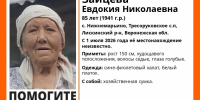 Ушла за покупками и растворилась: продолжаются поиски 85-летней женщины в Воронежской области - Bloknot-Voronezh.Ru