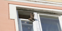 Костромичи столкнутся с дефицитом кислорода в воздухе - ГТРК Кострома
