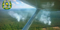 Два лесных пожара произошли в Нижегородской области за неделю из-за гроз - ProGorodNN.Ru