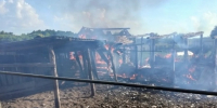 Во время жуткого пожара в Никольском районе сгорели несколько зданий - 1Pnz.Ru