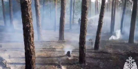 О чрезвычайной пожарной опасности V класса предупредили воронежцев - Обозреватель.Врн