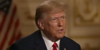 Трамп с Зеленским планируют встречу на следующей неделе - Петербургский дневник