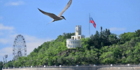 407 единиц общественного транспорта вышли на городские маршруты сегодня утром - Администрация г. Хабаровска