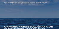 С начала июня в водоёмах Красноярского края зафиксировано 20 случаев гибели людей. - Администрация
