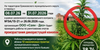 работы по уничтожению очагов произрастания дикорастущей конопли. - Ермаковский район