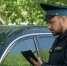 Внедорожник арендатора сельхозземель едва не арестовали за долги в 1,5 млн рублей - Газета Маяк