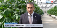 Дмитрий Демешин: «Будем расширять программу льготной госпомощи нашим сельхозпроизводителям» - ГТРК Дальневосточная