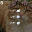 Screenshot - ЗА Новомосковск