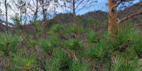 Фото Договора аренды земельного участка участникам СВО будут возобновлены на неопределенный срок - Газета Новая Бурятия