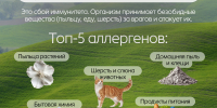 В Югре стартовала Неделя профилактики аллергических заболеваний - Центр медицинской профилактики