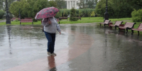 Понедельник в Заполярье выдастся прохладным и дождливым - SeverPost.ru