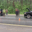 Массовое ДТП на трассе в Карелии: есть пострадавшая - Gubdaily.Ru