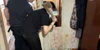 Внучку заподозрили в том, что она зарубила бабушку в Омской области - Газета Краснодарские известия