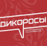 Лого, Изображение. - Главное управление координации развития туризма