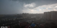© Фото Елены Синеок, Юга.ру - Yuga.Ru