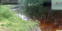 Экомилиция выявила загрязнение Каменского ручья и реки Саба в Лужском районе - 47Channel.Ru