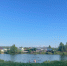 В пруду в Дороничах утонул мужчина - Kirov.Online