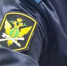 В Минусинске предприниматель оплатил долги по налогам в 2,3 млн рублей после ареста дорогостоящего автомобиля - ИА Запад24