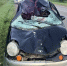Под Тверью Daewoo Matiz ночью налетел на переходившего дорогу лося - Афанасий-биржа