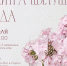 В музее «Городская управа» пройдет выставка «Палитра цветущего сада» - Город Липецк
