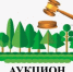 ИЗВЕЩЕНИЕ О проведении аукциона на право заключения договора купли продажи лесных насаждений с субъектами малого и среднего предпринимательства в соответствии с частью 4 статьи 29.1 Лесного кодекса Российской Федерации - Благовещенский район