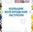 Вейделевские артисты выступили для жителей Ровеньского округа в рамках Больших Белгородских гастролей. - Вейделевский район