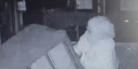 фото: скриншот видео - АПИ
