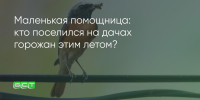 Поделитья во ВКонтакте - Братская Студия Телевидения