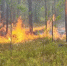 Спасатели МЧС защитили село Халясавэй от лесного пожара - ГТРК Ямал